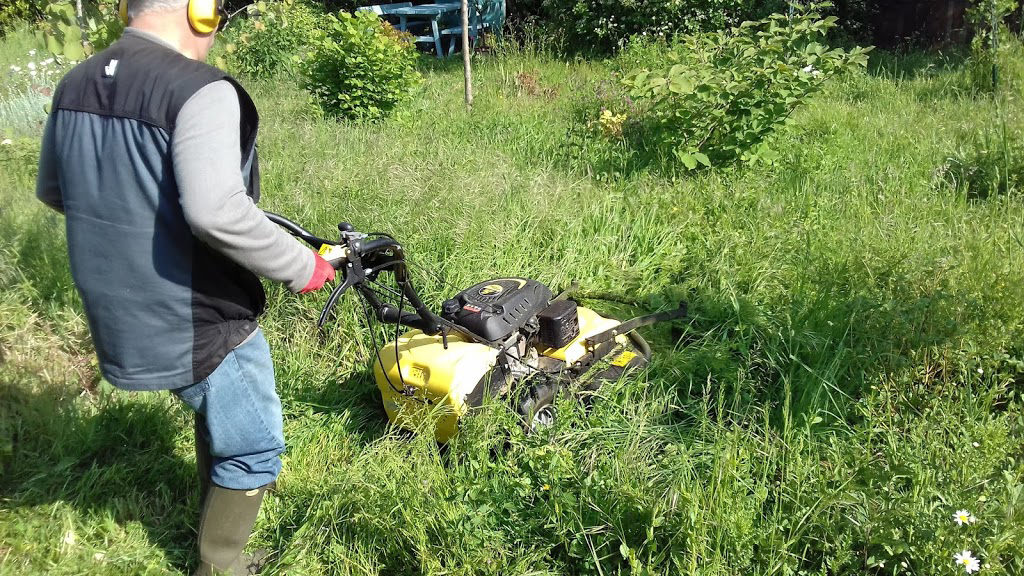 Entretien des jardins - Service à la personne - Multi Service Sud Vendée