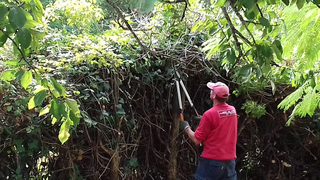 Entretien des espaces verts en Vendée - MSSV